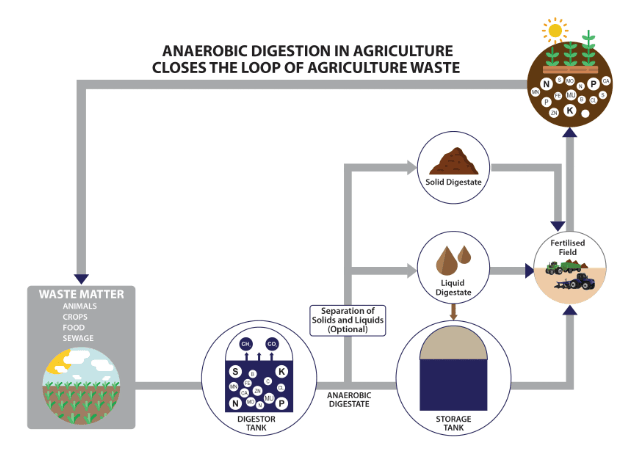 Anaerobic Digestion (AD) pump process